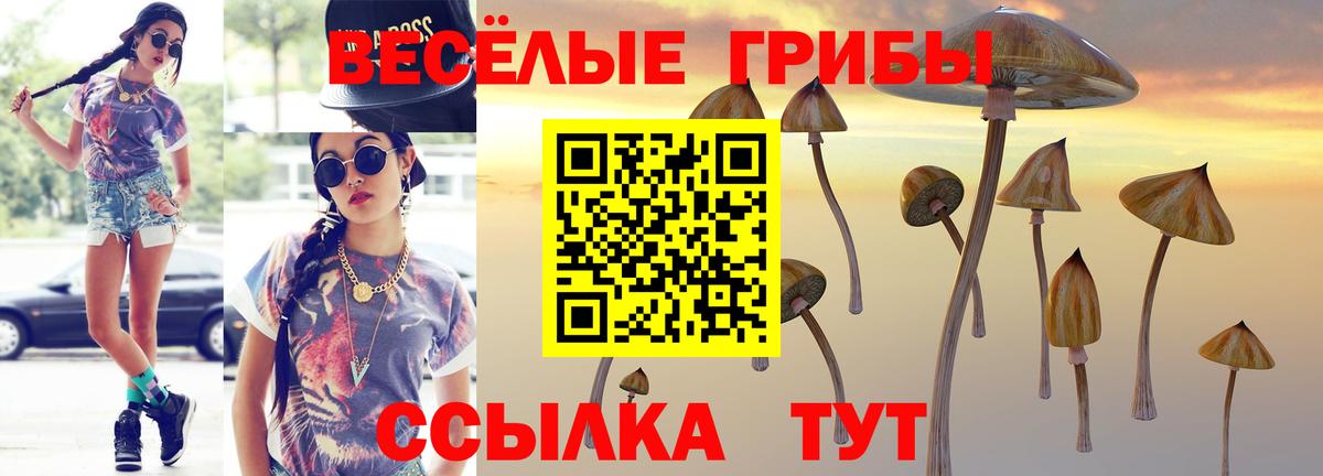 Галлюциногенные грибы Psilocybine cubensis  Вход с VPN  Новошахтинск  Псилоцибиновые грибы Cubensis 